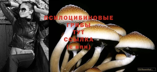 индика Покровск