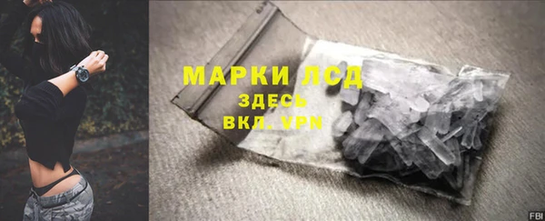 прущие грибы Покров