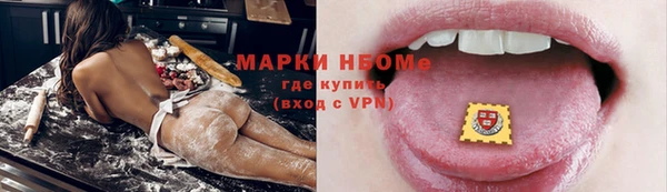 прущие грибы Покров