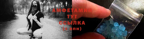 прущие грибы Покров