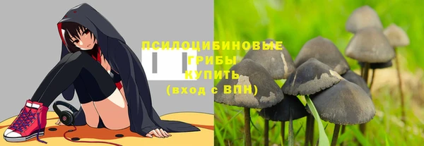 индика Покровск