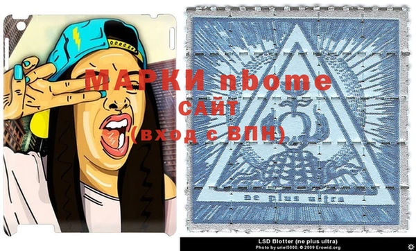 прущие грибы Покров