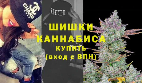 индика Покровск
