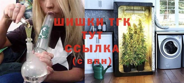 прущие грибы Покров