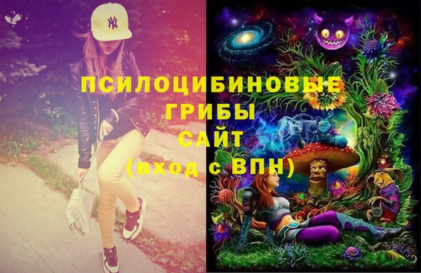 кокс Покачи